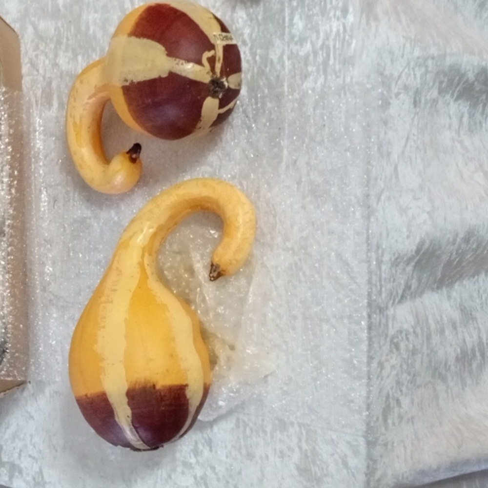 10 "   Set of 6 Faux  Gourds /Squash /Pumpkin